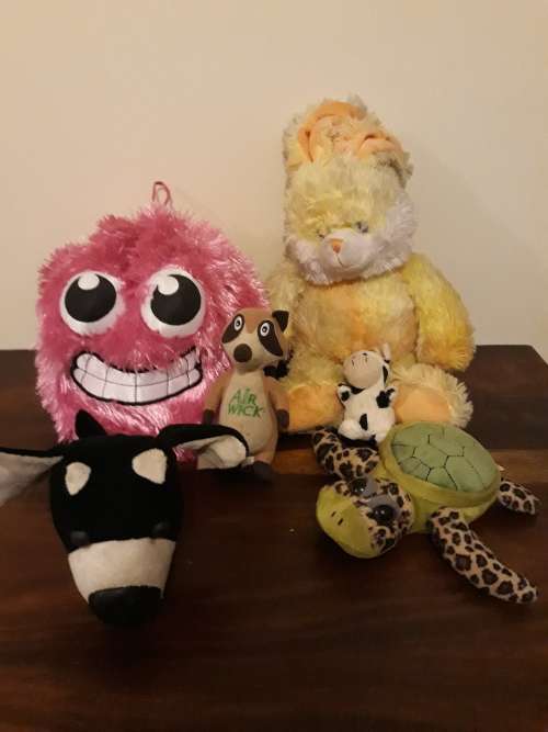 A Job Lot of Ultra Cute Teddies