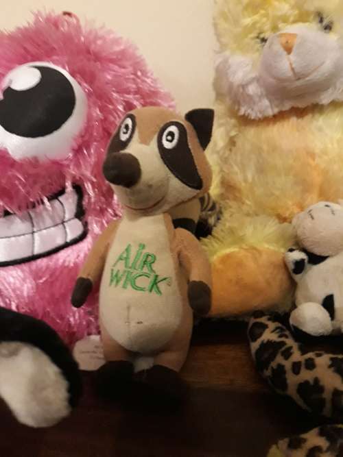 A Job Lot of Ultra Cute Teddies