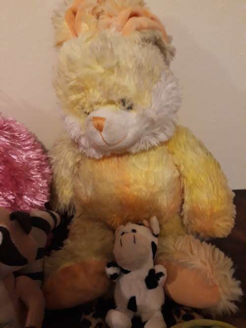 A Job Lot of Ultra Cute Teddies