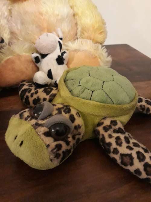 A Job Lot of Ultra Cute Teddies