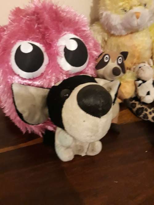 A Job Lot of Ultra Cute Teddies