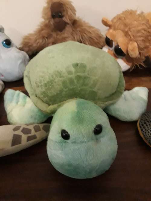 An Adorable Lot of Animal Soft Toys
