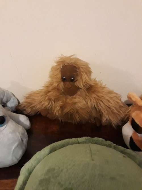 An Adorable Lot of Animal Soft Toys