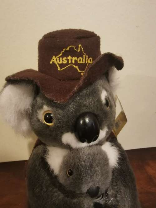 Made in Australia - Stunning Quality Koala Bear