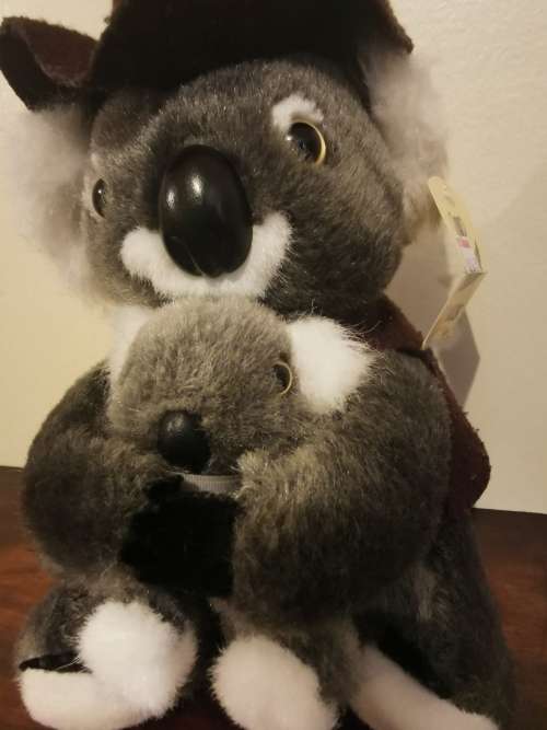 Made in Australia - Stunning Quality Koala Bear