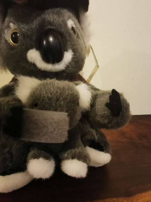 Made in Australia - Stunning Quality Koala Bear