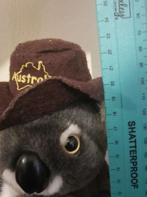 Made in Australia - Stunning Quality Koala Bear
