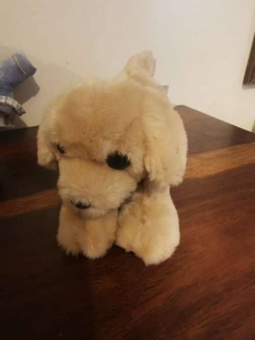 An Adorable Vintage Soft Toy Collection