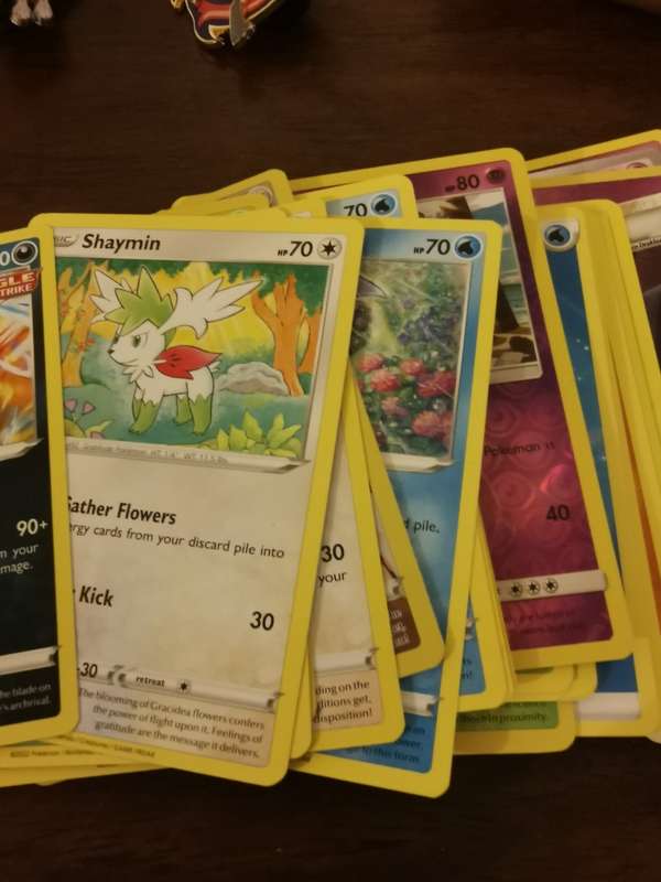 Awesome Pokémon Accessories plus Over 250 Original Cards