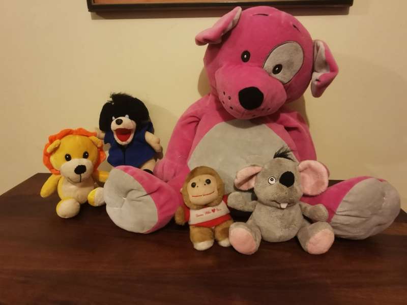 Adorable Collection of Soft Toys - See Pics