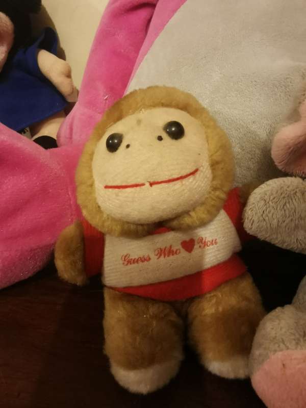 Adorable Collection of Soft Toys - See Pics