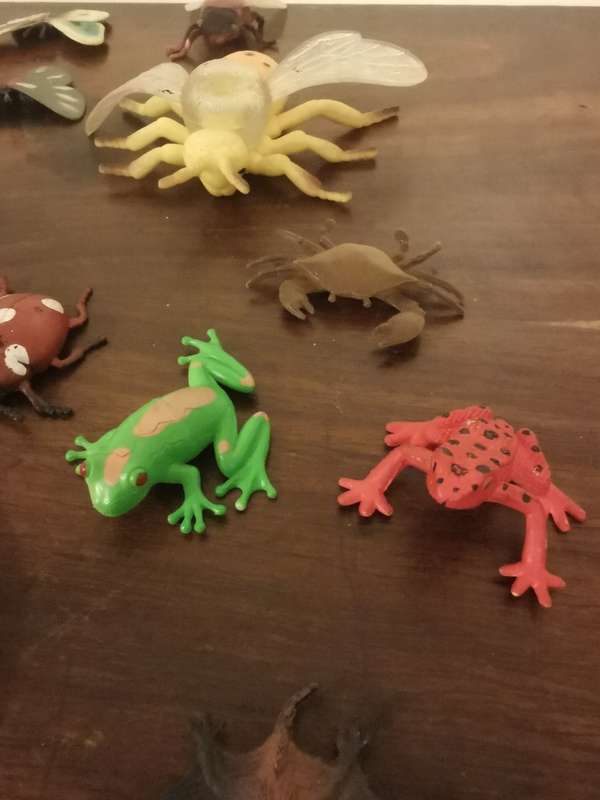 Creepies, Crawlies, Bugs and Slugs