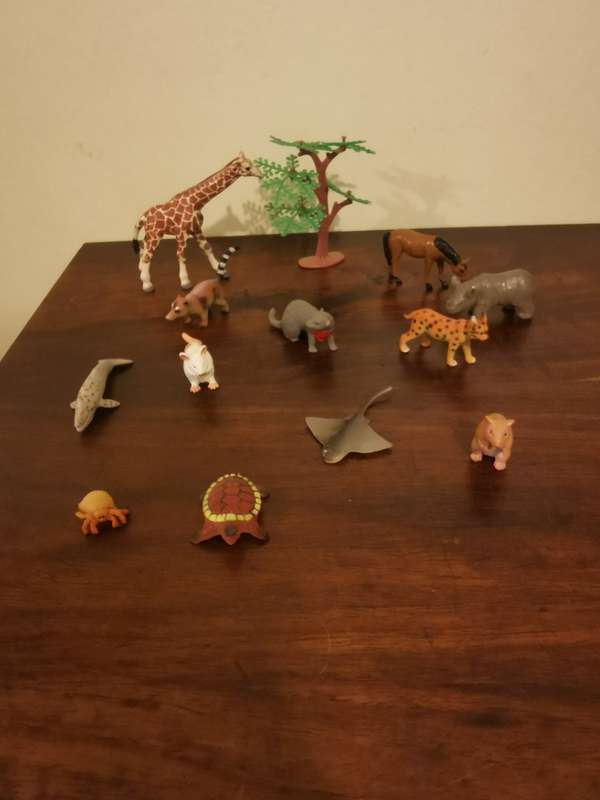 Highly Detailed Collection of Unique Animals