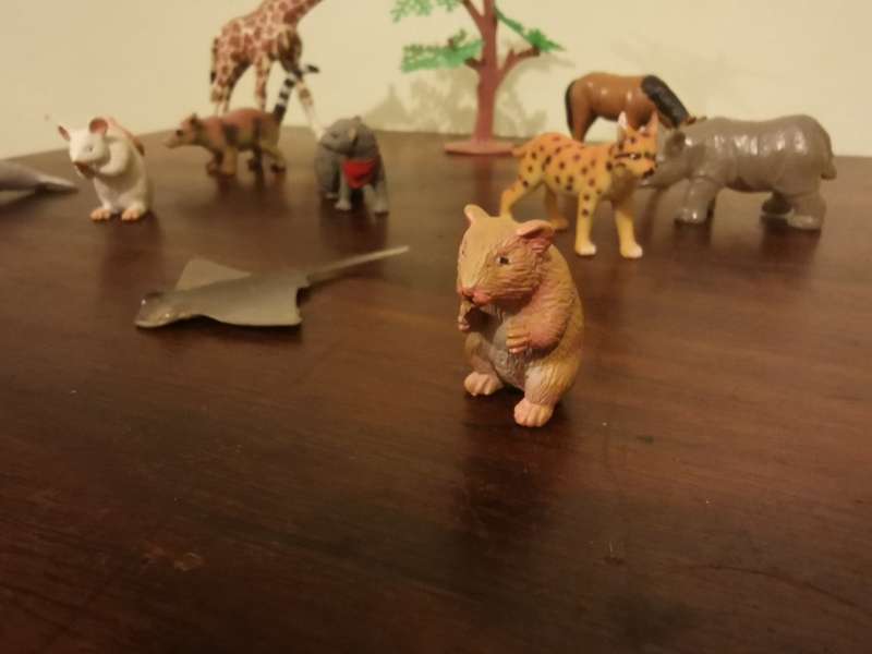Highly Detailed Collection of Unique Animals
