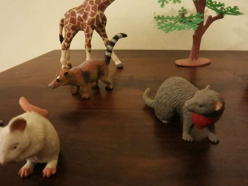 Highly Detailed Collection of Unique Animals