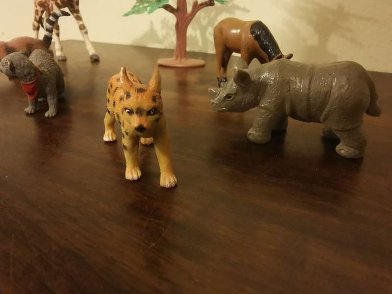 Highly Detailed Collection of Unique Animals