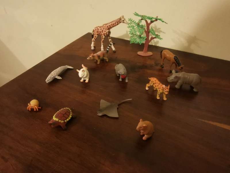 Highly Detailed Collection of Unique Animals