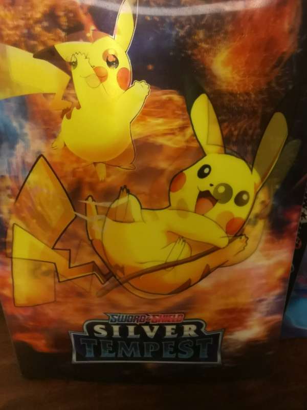 Pokémon Madness with Loads of Accessories and Over 500 Original Cards