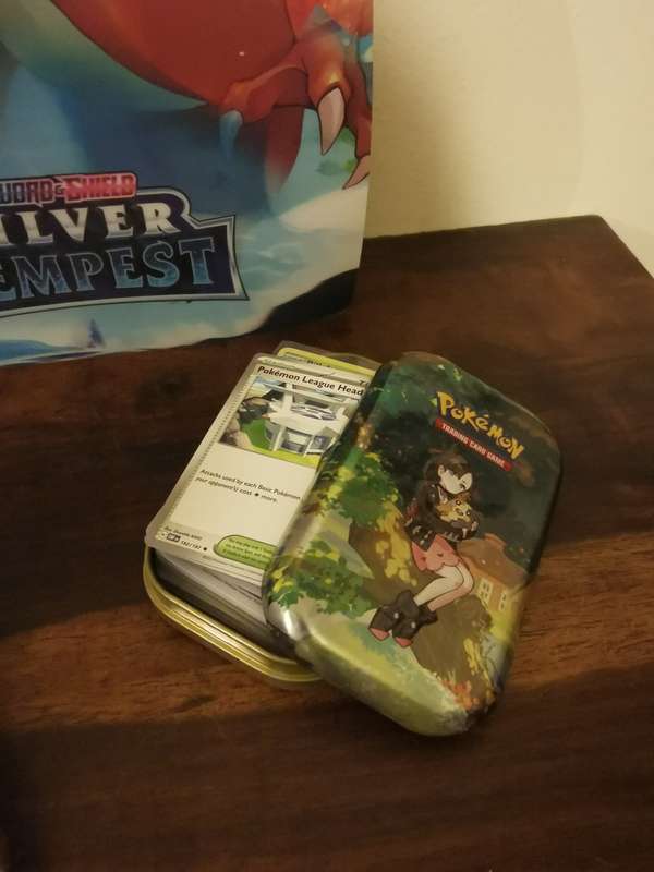 Pokémon Madness with Loads of Accessories and Over 500 Original Cards