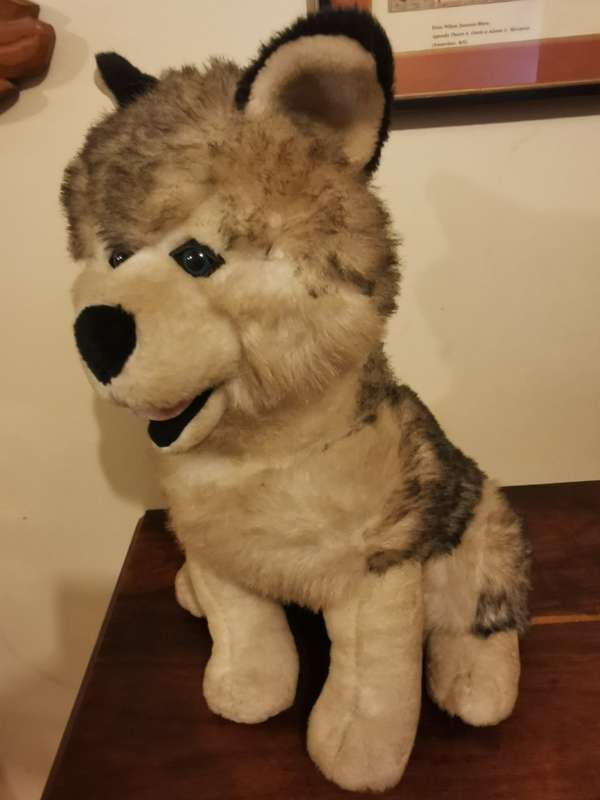 Large Husky Soft Toy 47cm tall