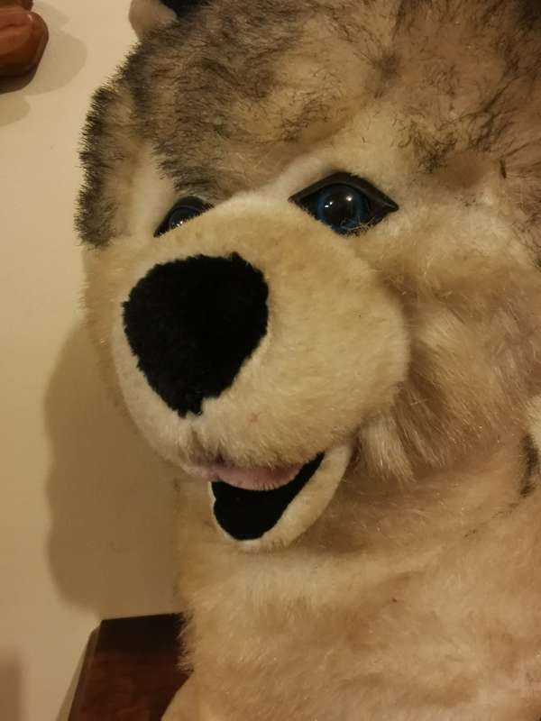 Large Husky Soft Toy 47cm tall