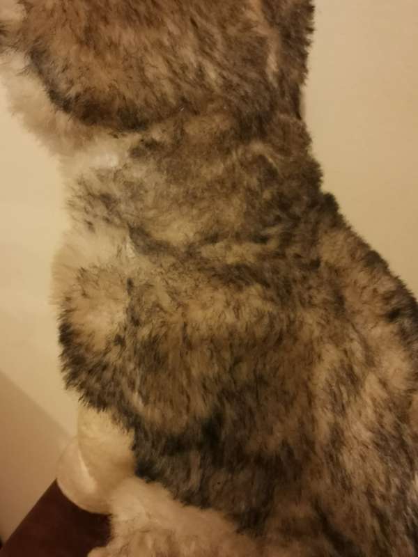 Large Husky Soft Toy 47cm tall