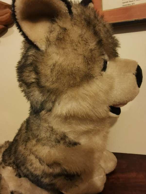 Large Husky Soft Toy 47cm tall