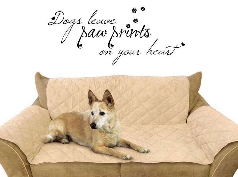 Dogs leave paw prints on your heart quote Vinyl Wall Art Sticker Decal Vinyl Tattoo Decor