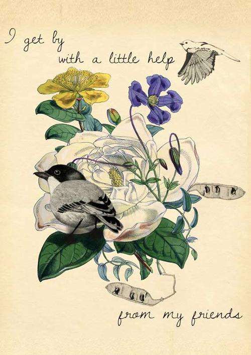 Lovely vintage botanical victorian friends flowers poster print art A2 size