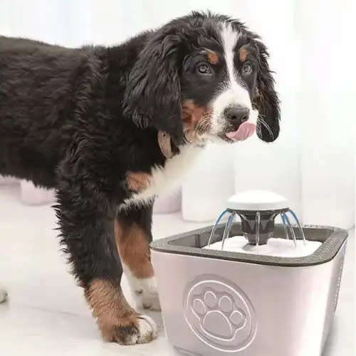 Convenient Pet Water Fountain With Filter, Cat Water Fountain, Dog Water Fountain (Random Color)