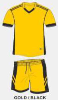 NEW SOCCER KIT FULL TEAM KIT (FREE SHIPPING)