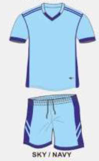 NEW SOCCER KIT FULL TEAM KIT (FREE SHIPPING)