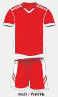 NEW SOCCER KIT FULL TEAM KIT (FREE SHIPPING)