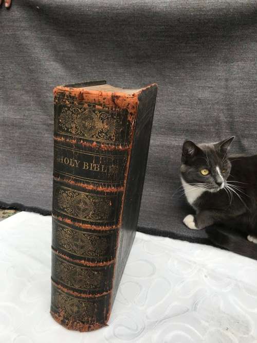 Family Bible 1871 antiquarian