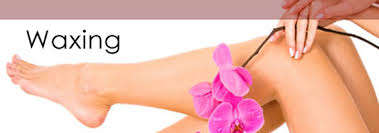 Summer Wax Special