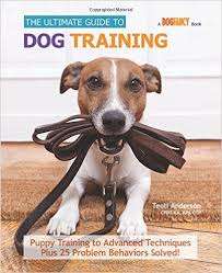 THE ULTIMATE GUIDE TO DOG TRAINING - PUPPY TRAINING TO ADVANCED TECHNIQUES PLUS!