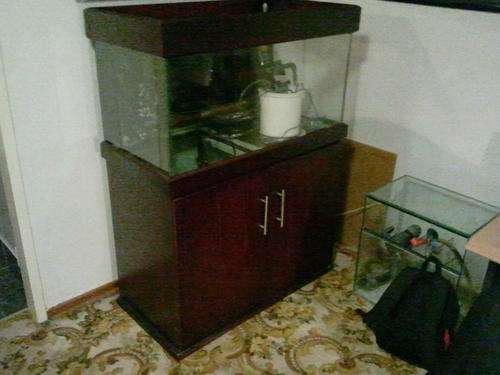 Fish tank for sale with Sump