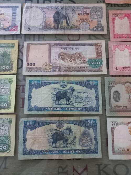 Nepal bank note collection