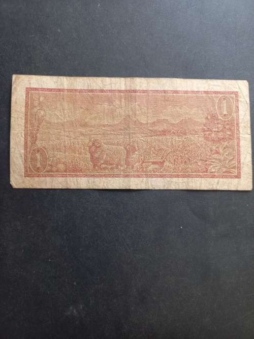 RSA Bank note lot. One bid to take all