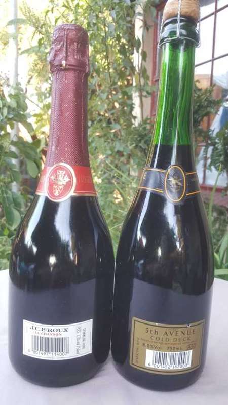 A RARE OPPORTUNITY: TWO BOTTLES OF CHAMPAGNE