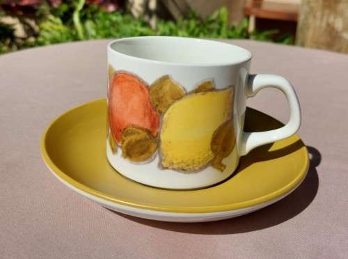 CUTE J AND G MEAKIN ENGLAND IRONSTONE TEA SET FOR TWO WITH FRUIT DECORATION