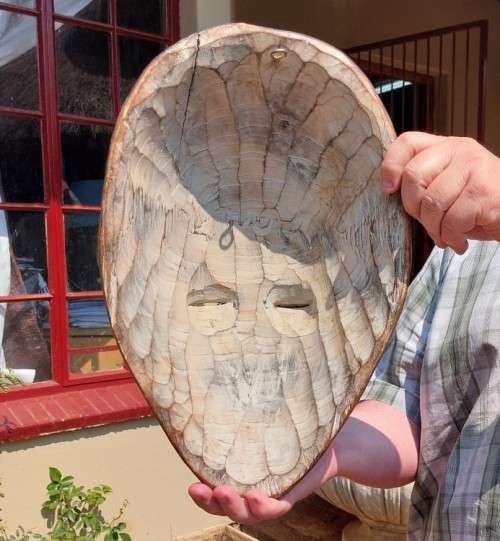 HIGHLY DESIRABLE AFRICAN TIKAR WOODEN MASK HAND CARVED CAMEROON 40CM HIGH