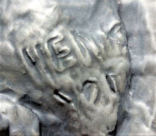WARTHOG HENKMAM CLAY SCULPTURE WITH BRONZE COATING ON WOODEN WALL MOUNT