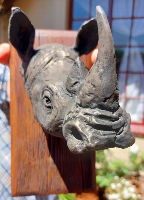 WHITE RHINO HENKMAM CLAY SCULPTURE WITH BRONZE COATING ON WOODEN WALL MOUNT