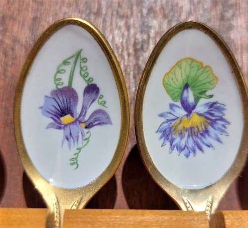 JAPAN 24KT GOLD PLATED SET OF 12 COFFEE SPOONS WITH ENAMEL PAINTED SOUTH AFRICAN FLOWERS