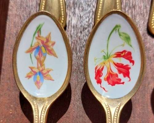JAPAN 24KT GOLD PLATED SET OF 12 COFFEE SPOONS WITH ENAMEL PAINTED SOUTH AFRICAN FLOWERS