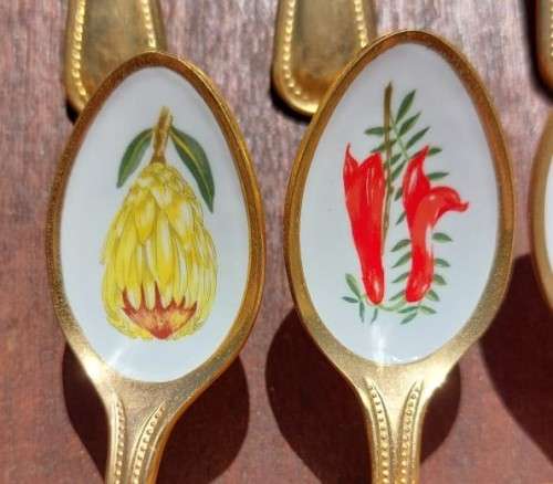 JAPAN 24KT GOLD PLATED SET OF 12 COFFEE SPOONS WITH ENAMEL PAINTED SOUTH AFRICAN FLOWERS