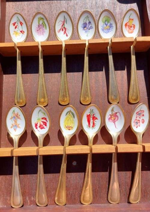 JAPAN 24KT GOLD PLATED SET OF 12 COFFEE SPOONS WITH ENAMEL PAINTED SOUTH AFRICAN FLOWERS