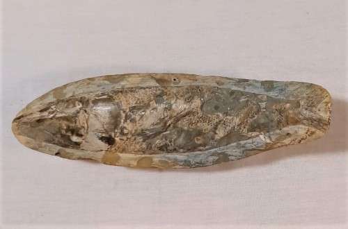 FOSSIL FISH FROM MOROCCO PRESERVED WITH AMAZING DETAIL IN 3D MANNER - 15,5CM LONG - 100 MIL YRS