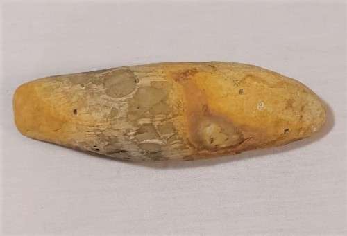FOSSIL FISH FROM MOROCCO PRESERVED WITH AMAZING DETAIL IN 3D MANNER - 15,5CM LONG - 100 MIL YRS
